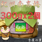 HUBAZN2